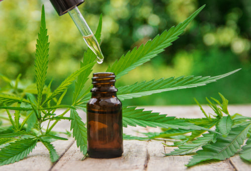A Guide to Cannabis Tincture Packaging