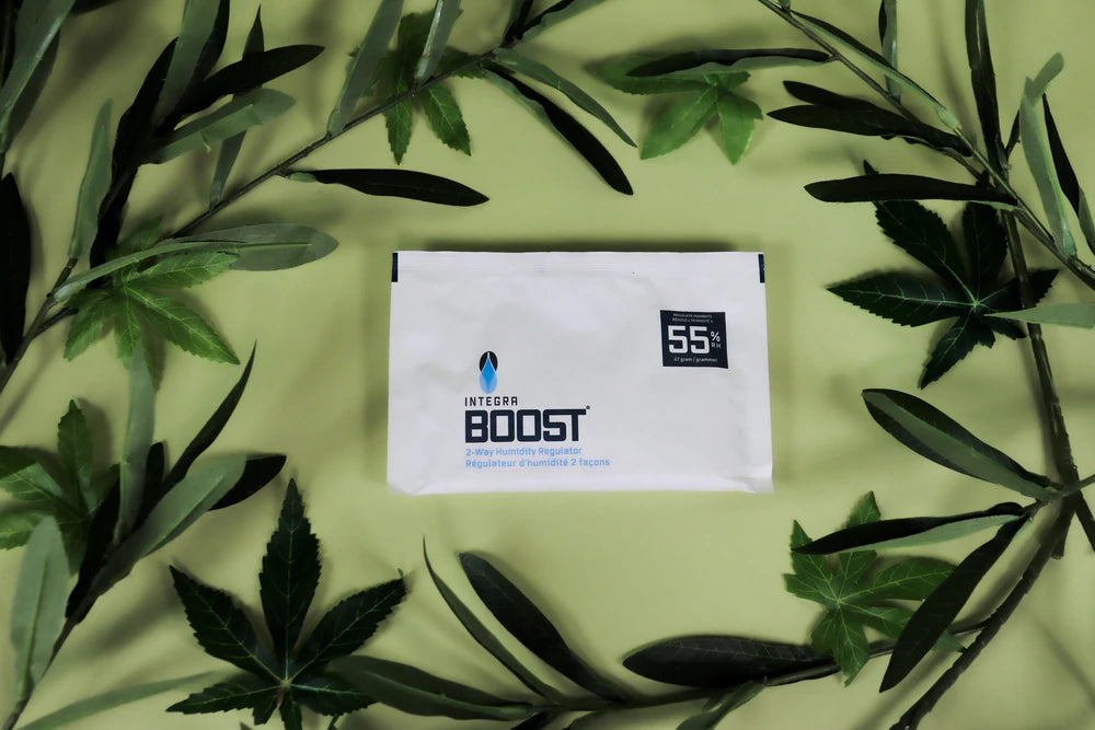 Integra Boost 1 Gram Capacity 62% Humidity Packs for Weed